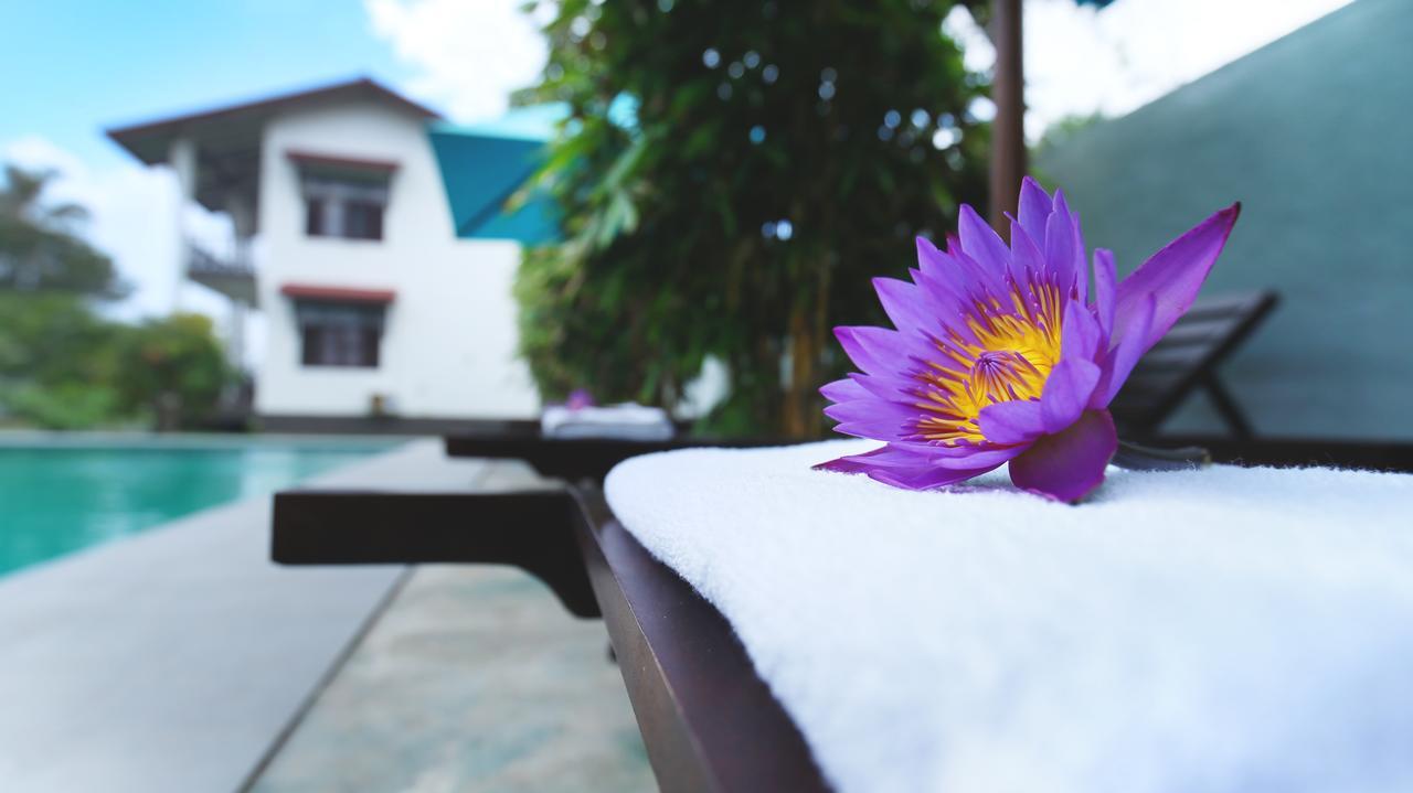 Kaminrich Cottage Matara Bagian luar foto