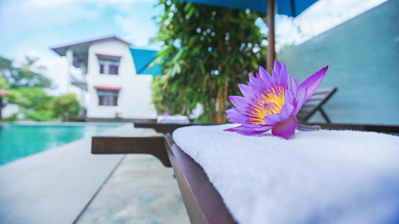 Kaminrich Cottage Matara Bagian luar foto